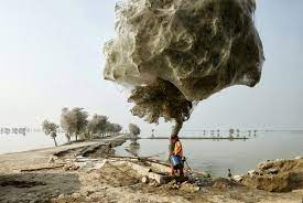 7 Amazing Things You Won T Believe Actually Exist In Nature