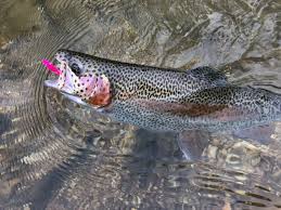 Fly Shop Missouri Trout History Flyfishers At The Crossing