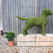 As every topiary is hand made, all. Topiary Dogs How To Grow Your Own Dog For Gardening Fun Wales Online