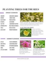Many rare and unusual varieties sold. 49 Seeds For The Bees Ideas In 2021 Bee Garden Plants Seeds