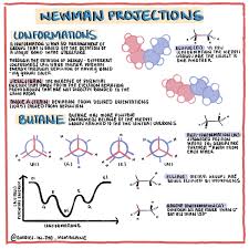 Organic Chemistry Educational Infographic Newman Projections Of Butane