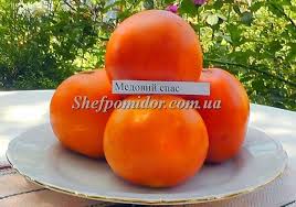 Serjadmin разведение раков оставить комментарий 21 просмотры. Medovyj Spas Fruit Tomato Spa