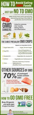 What research over 20 years are saying on genetically modified foods. Gmo Top List