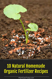 10 Natural Homemade Organic Fertilizer Recipes Organic Fertilizer Natural Homemade Fertilizer