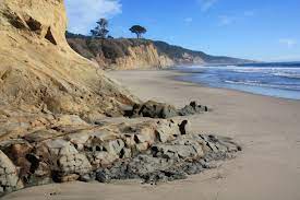 We did not find results for: Cove Beach At Ano Nuevo State Reserve Pescadero Ca California Beaches