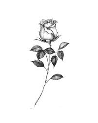 Home Blend Of Bites In 2020 Floral Tattoo Design Ink Tattoo Tattoos