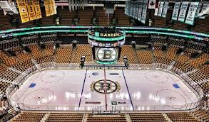 Pin On Boston Bruins