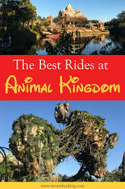Complete Guide To Disney Animal Kingdom Rides 2020 Mouse Hacking Animal Kingdom Disney Animal Kingdom Rides Animal Kingdom Attractions