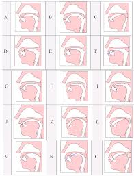 Phonetics Phonology Tutorial Answers Azus Notes