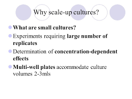 Animal cell culture technology ppt. Scaling Up Animal Cell Culture Chapter 9 From The Basics Chapter 26 From Culture Of Animal Cell Culture Ppt Download