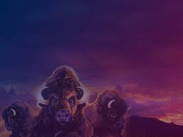 Details for buffalo gold by aristocrat with rules, bonus features, screenshots, videos, pay tables and find casinos where you can play this slot. Buffalo Slot Review 2020 Bonus Rtp Slotsups Com