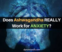 Maybe you would like to learn more about one of these? Ashwagandha For Anxiety Does It Really Work