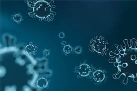 Verlängerung der allgemeinverfügung bis zum 21.07.2021 (179 kb) eilbekanntmachung: Neue Corona Regeln Bedeutung Fur Den Rhein Sieg Kreis