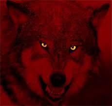 14 Nwo Wolfpack Ideas Nwo Nwo Wrestling Wolf Pack Can't find what you are looking for? 14 nwo wolfpack ideas nwo nwo