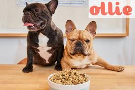 We researched the best foods to help you make the best choice for your older dog. Ollie Dog Food Detailed Review 2021 Dogstruggles