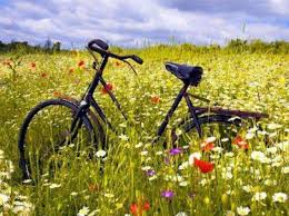 До кінця року залишається 149 днів. 4 Serpnya Yake Sogodni Svyato Do Kogo Jdemo Svyatkuvati