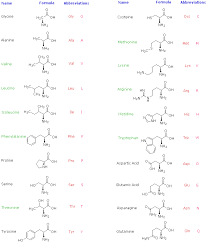 proteins and amino acids chemistry libretexts