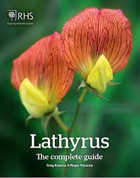 Image result for Lathyrus