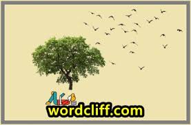 We did not find results for: 5 Contoh Recount Text Tentang Pengalaman Pribadi Dan Artinya Berbagai Contoh Teks Bahasa Inggris Singkat Dan Artinya