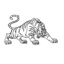 Coloriage Tigre En Attaquant Dessin Gratuit A Imprimer