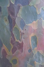 Eucalyptus Colour Abstrait Peinture Abstraite Musee Des Arts Decoratifs