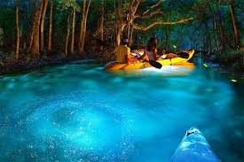 Bioluminescent Beach Puerto Rico Fajardo Bio Bay Awesome Sweet Sot And Cayman Kayak Does A Great Job Grand Cayman Island Puerto Rico Trip Bioluminescent Bay Puerto Rico