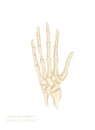 Image result for hands