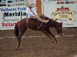 Basketball, american football and bull riding (called jaripeo) are also popular. Seven Sports That Make Mexico The Country It Is