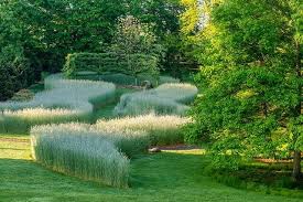 The Serpentine Garden At Chanticleer With Winter Rye And Espaliered Ginkoes Garden Plants Design Garden Planning Landscape Design