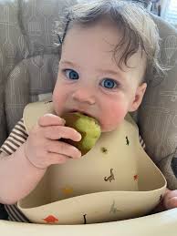 What to do with abandoned chick?