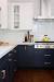 Modern Dark Blue Blue Kitchen Cabinets