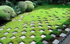 Japanese Garden Art Japanese Garden Zen Garden Modern Japanese Garden