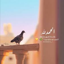 بلوشيه عزوفخر على تويتر الحمدلله دائما وابدا