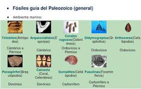 Las Grandes Divisiones De La Historia De La Tierra Historia De La Tierra Paleontologia Historia