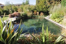 If you have large enough space and think to add a swimming pool, here are. Natural Swimming Pools 101 Pros Cons More Pool Research