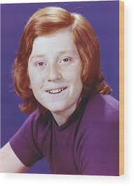 Danny Bonaduce in The Partridge Family Wood Print