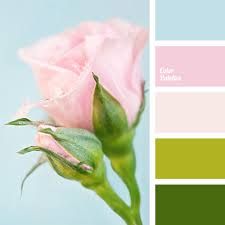 We did not find results for: Green And Pink Color Palette Ideas