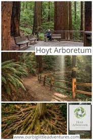 Hoyt Arboretum Portland Our Big Little Adventures Arboretum Explore Oregon Family Friendly Travel