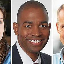 ELECTION 2018: List of Democratic candidates' endorsements in NY 19th  Congressional District race