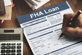 Mortgage insurance (mip) for fha insured loan. How To Cancel Fha Mortgage Insurance Usa Mortgage Network Inc