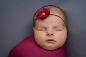 Blog — Schackmann Photography