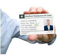 Blue design with a white backing. Meet The Best Medical Marijuana Doctor In California My Mmj Doctor