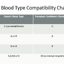 There are so many stories about how people begin donating blood. Blood Type Compatibility Chart Download Scientific Diagram
