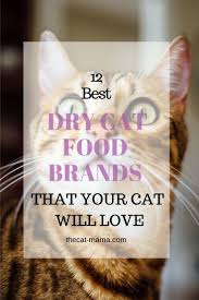 12 Best Dry Cat Food Brands To Buy For Your Cat Cat Food Brands