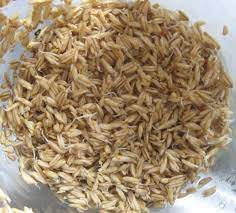 The Happy Raw Kitchen Raw Sprouted Oatmeal Oats A Food Food