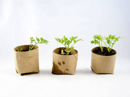 21 Truly Genius Gardening Tips and Ideas | Easy garden, Gardening ...