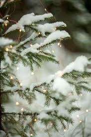 Image Via Mycozywinter Christmas Wallpaper Winter Christmas Christmas Lights