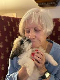 It was Gotcha Day for cutie patootie Noel (now Pye)! We see an endless  supply of cuddles for her and her adopter 🥰🥰 Congratulations Pye and  Merry Christmas 🎄💜🎄💜