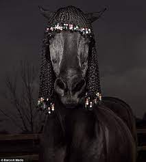 The idea of weaving with unique fibers is one i'm looking forward to exploring more while i'm home for the next few weeks. Pictured The Hilarious And Utterly Pointless Horses With Hair Extensions Daily Mail Online