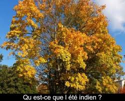 Download and print in pdf or midi free sheet music for lete indien by joe dassin arranged by lming for vocals (solo). Qu Est Ce Que L Ete Indien